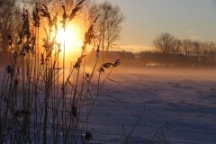Unsere Länder umzu im Schnee