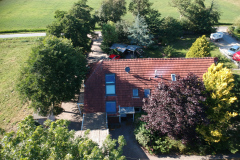 Herzmuschel und Seestern von oben