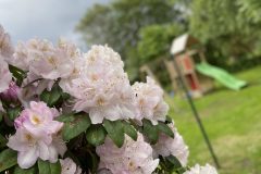 Frühling