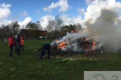Osterfeuer im Wold