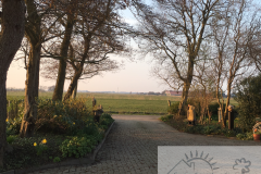 Frühjahr im Wold