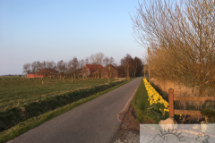 Frühjahr im Wold