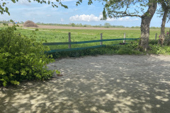 Parkplatz Seestern und Herzmuschel